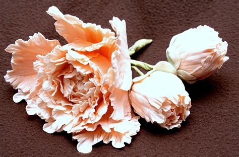 Image result for Gumpaste Peony