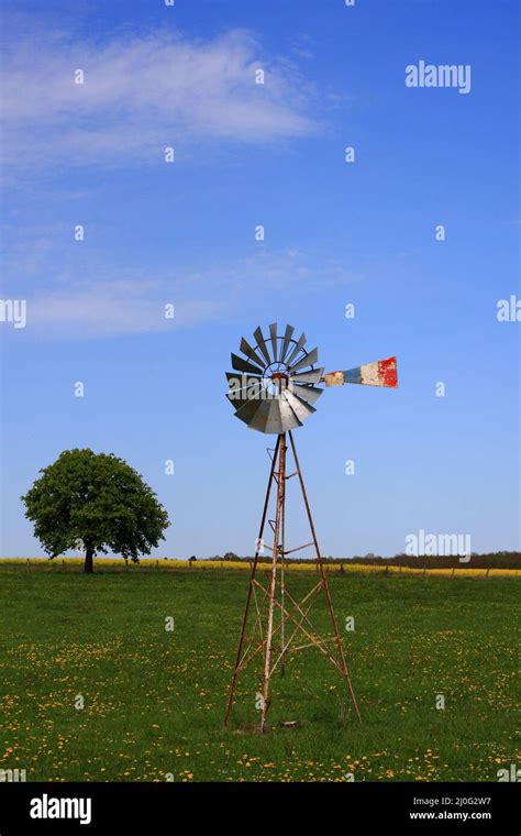 Image result for Pinwheel History