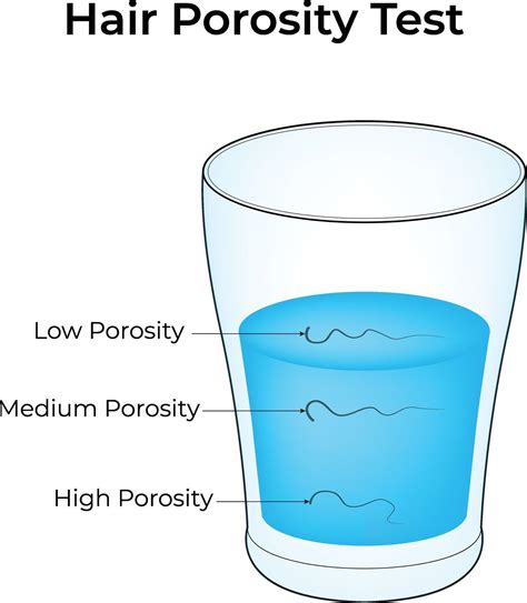 Hair Porosity Test Low Porosity Medium Porosity High Porosity Design ...
