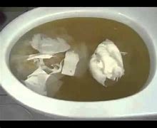 Image result for Toilet Clogged with Poop