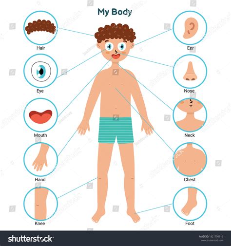 Body Parts Clip Art
