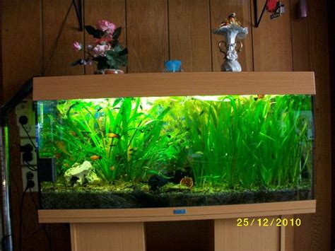 Juwel Aquarium Rio 180 mit Unterschrank in Eilenburg | Tiere ...
