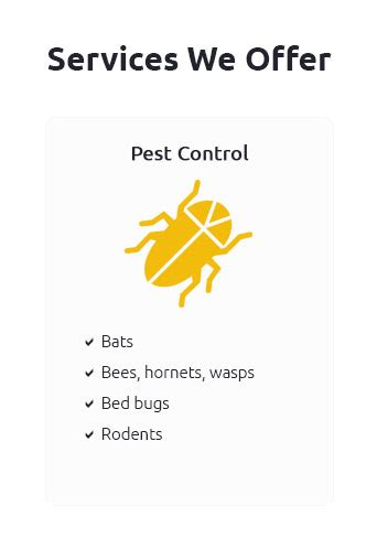 Pest Control Lancaster 的图像结果