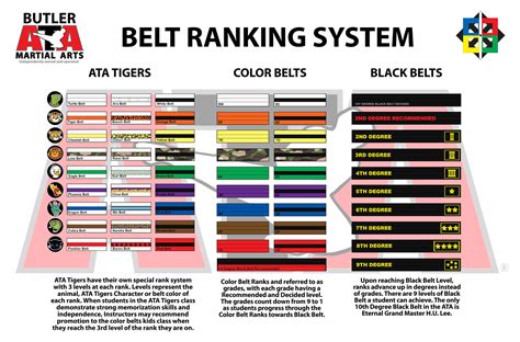 What Are The Taekwondo Belt Levels at Jake Spragg blog