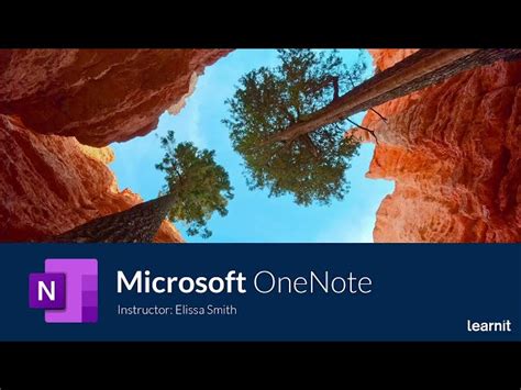 OneNote Notebook Tutorial 的图像结果