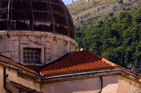 Image result for Geometry Real Life Examples