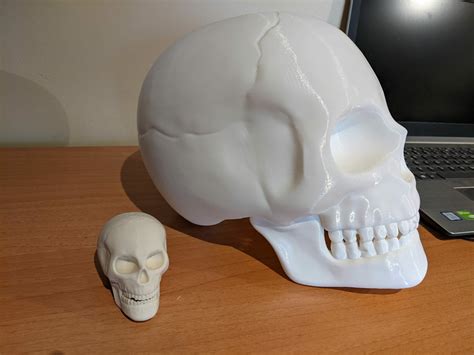 Free STL file SKULL・Model to download and 3D print・Cults