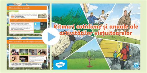 Ritmuri cotidiene și anuale ale activităților viețuitoarelor
