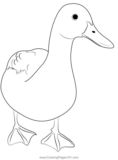 Coloring Book Ducks