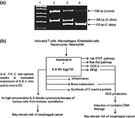 Image result for Computer Output Terminal
