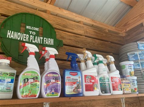 The Hanover Plant Farm Nursery and Garden Center – Hanover Vegetable Farm