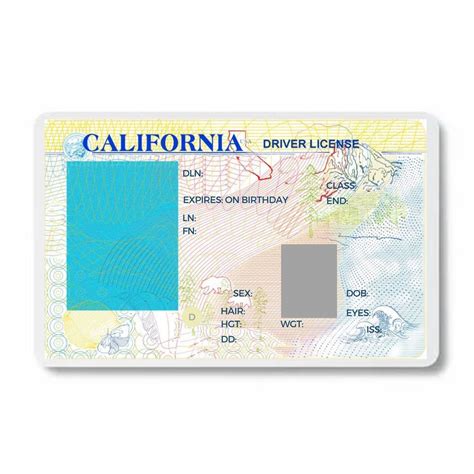 California Driver License Template by bobbyboggs182 on DeviantArt