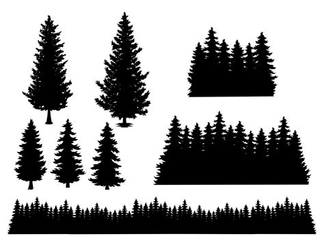 Set of Silhouette of pine trees. Vector illustration 12911986 Vector Art at Vecteezy