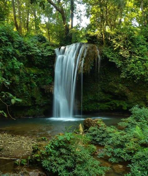 Corbett Cabana: Your Corbett,Uttarakhand Getaway | CultureTravel.in