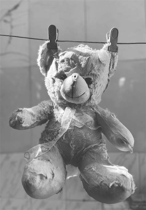 Image result for Washed Out Falling Back