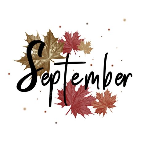 Glitter Leaves White Transparent, September Vector With Autumn Leaves ...