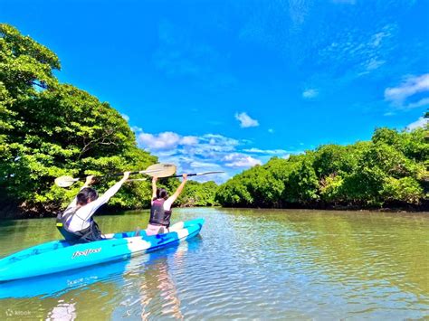 [Ishigaki Island/Half-day] Natural Monument Mangrove Forest Choose from ...