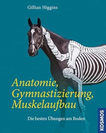 Amazon.in: Buy Anatomie, Gymnastizierung, Muskelaufbau: Die besten ...