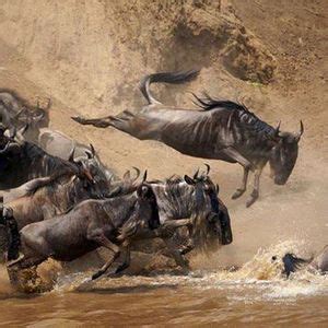 Events & Activities in Nairobi - Discover Today, Upcoming and Weekend ...