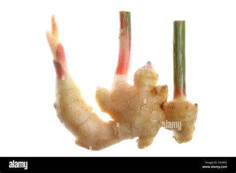 Image result for Using Fresh Ginger Root