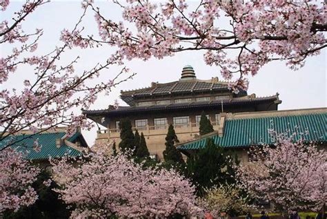 武汉大学的樱花，享有“三月赏樱，唯有武大”的美誉，每年三月中旬进入盛花期
