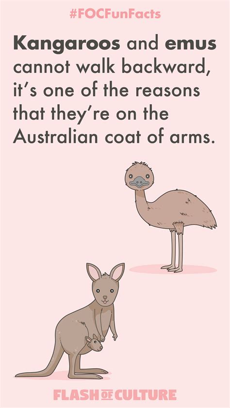 Random fun facts about australia - dbseka
