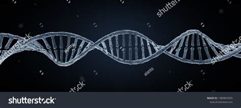 DNA Electron Microscope 的图像结果