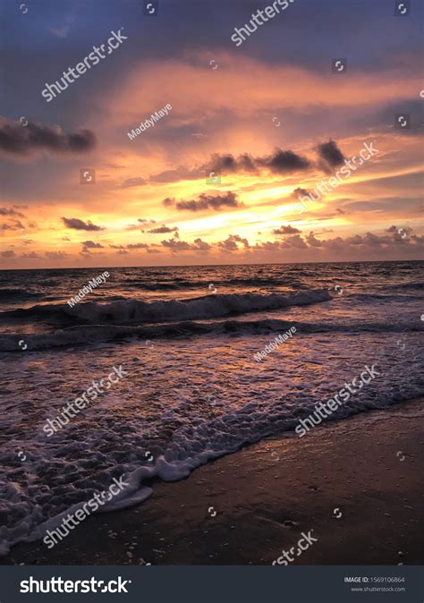 Stockfoto- und Stockbild-Portfolio von MaddyMaye | Shutterstock