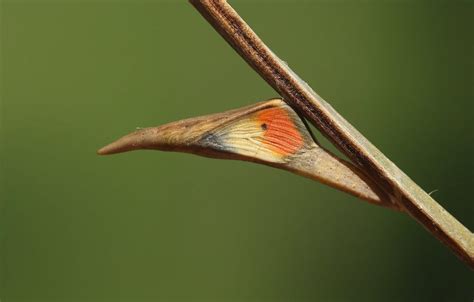 Image result for Free File Conversion