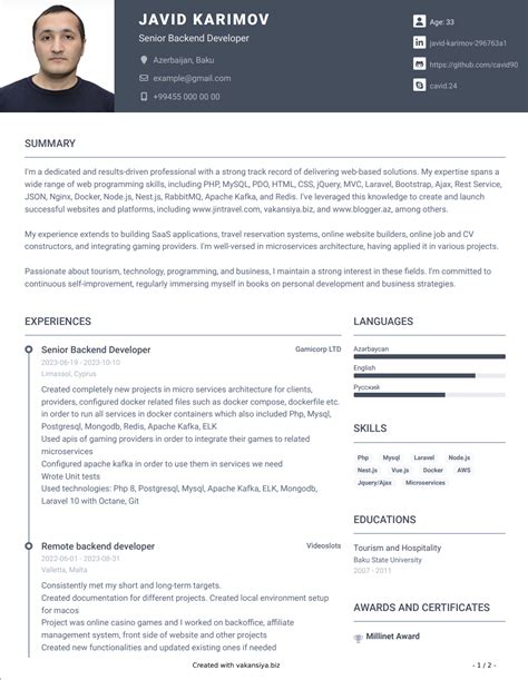 Curriculum vitae CV Examples 的图像结果