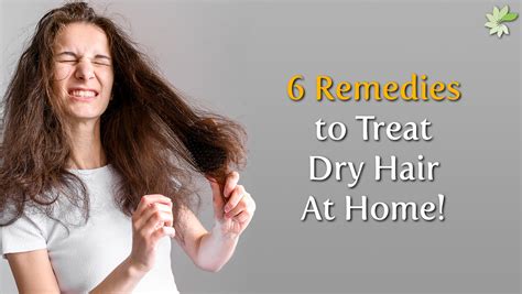 6 Remedies to Treat Dry Hair At Home | MINATURE – minaturewellness