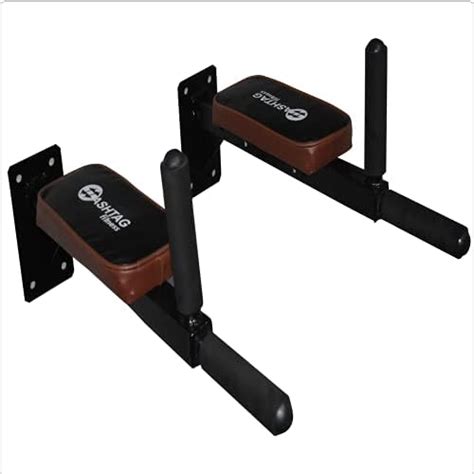 HASHTAG FITNESS Multifunctional wall mount dips stand, dips bar for leg ...