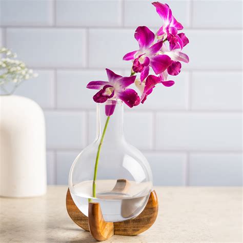 Buy Glass Vases, Flower Vases Online @ Upto 29% Off