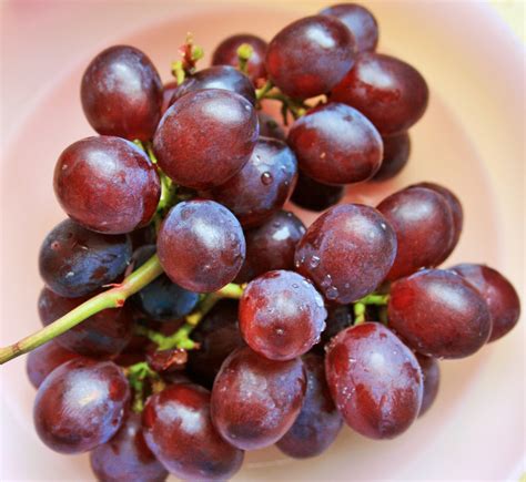 Bunch Of Grapes Free Stock Photo - Public Domain Pictures
