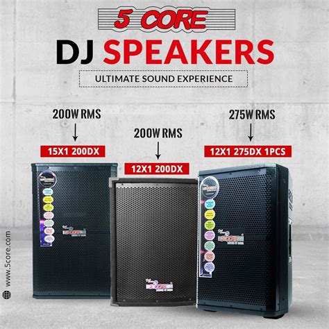 Best Dj Speakers Under 300