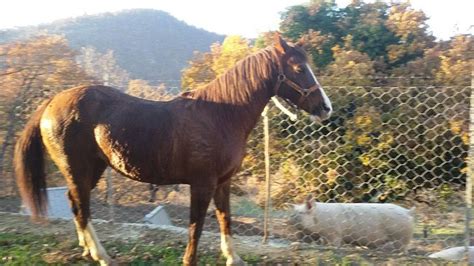 GROTTA DELL'EREMITA Guide (2026) All You Need to Know BEFORE You Go ...