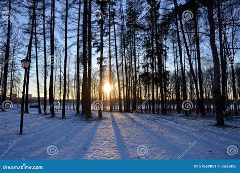 俄罗斯的冬天风景 库存图片. 图片 包括有 光芒, 城镇, 反映, 影子, 圣徒, 本质, 农村, 日落 - 51669851