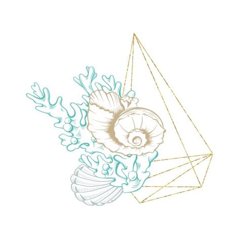 Image result for Open Sea Shell Line Drawing