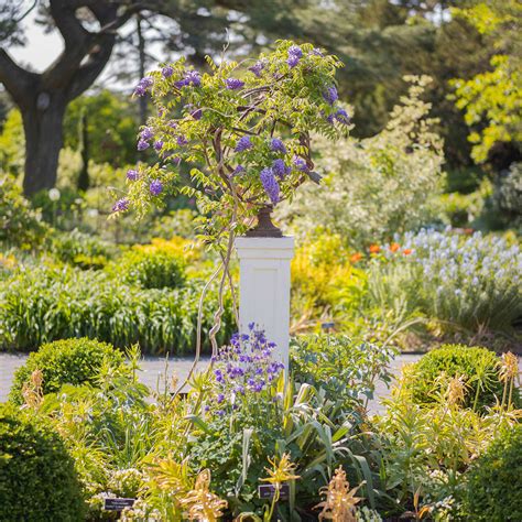 Gardens, Bronx-Green Up, and Search for Plants