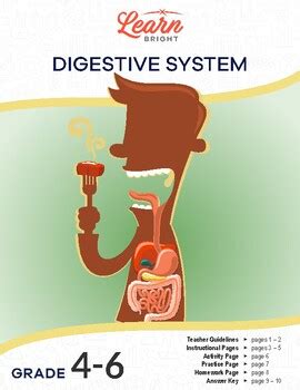 Image result for Lesson On Digestive System