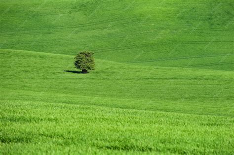 Moravian tuscany – beautiful spring landscape in south moravia near ...