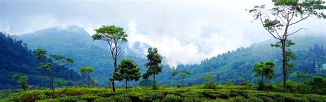 Tripmaza: Darjeeling Holiday Packages