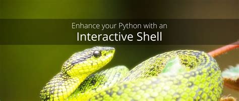 Python Interactive Shell 的图像结果