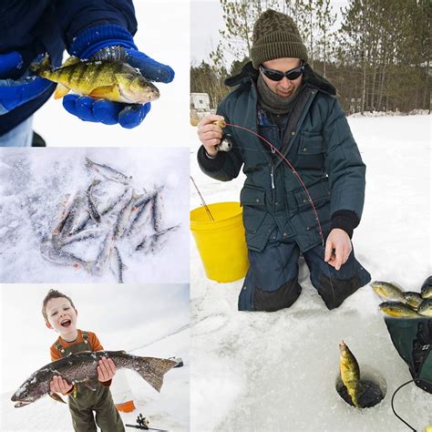 Buy Vissen Ice Fishing Lures Winter Lifelike Fishing Baits Luminous Ice ...