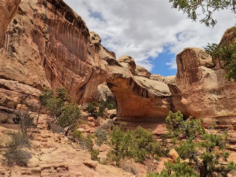 Hickman Bridge Trail: Fun Capitol Reef Hike You Don't Want to Miss