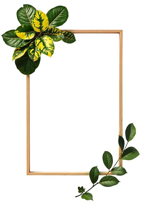 Images de Bordure png – Téléchargement gratuit sur Freepik