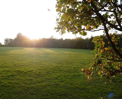 ROUGHTON PARK (2024) All You Need to Know BEFORE You Go (with Photos ...