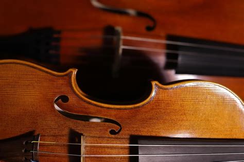 Image result for String Instruments