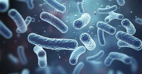 How Microorganisms Swim Without A Brain?