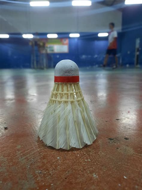 Badminton Net Shuttle Cock 的图像结果